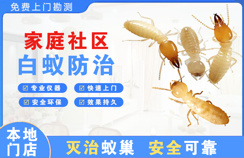 三沙家庭社区白蚁防治