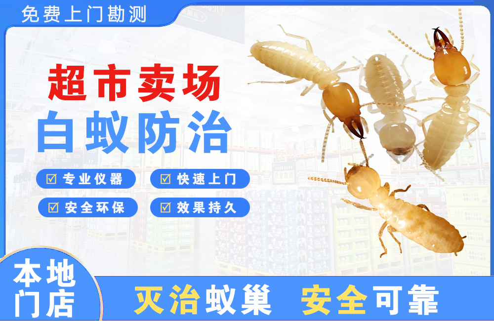 三沙超市卖场白蚁防治