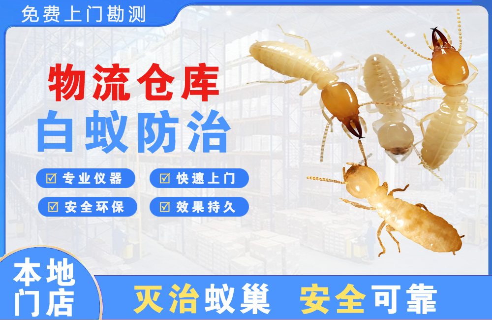 三沙物流仓库白蚁防治