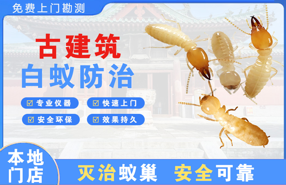 三沙古建筑白蚁防治