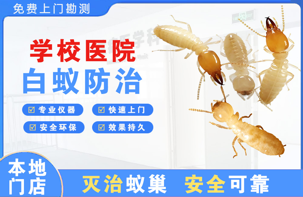 三沙学校医院白蚁防治