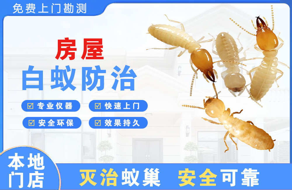 三沙房屋白蚁防治