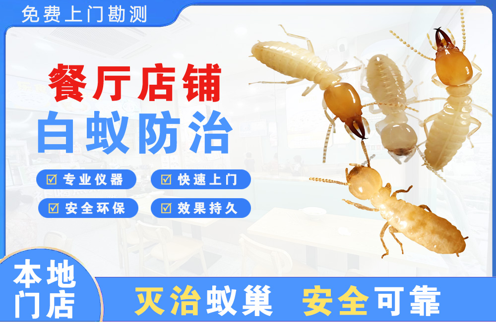 三沙餐厅店铺白蚁防治